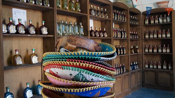 Muzeum tequili Muzeum tequili
